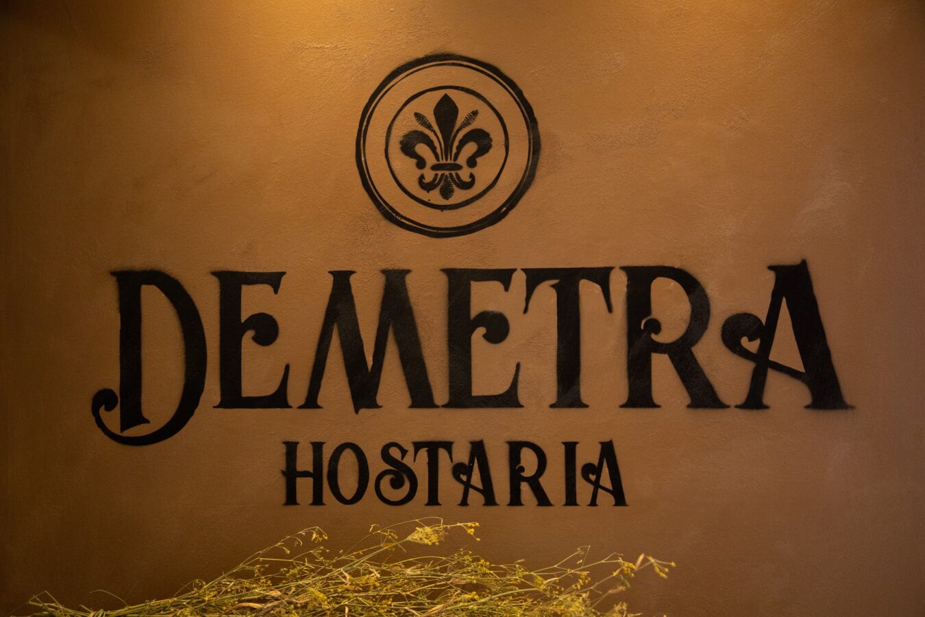 Capodanno Demetra Hostaria Firenze 2